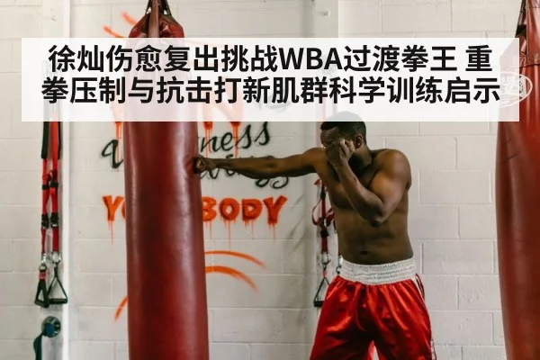 徐灿伤愈复出挑战WBA过渡拳王 重拳压制与抗击打新肌群科学训练启示