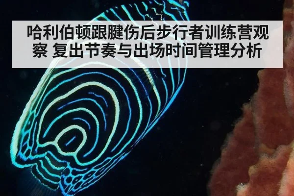 哈利伯顿跟腱伤后步行者训练营观察 复出节奏与出场时间管理分析